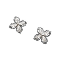 Cercei ALDO argintii