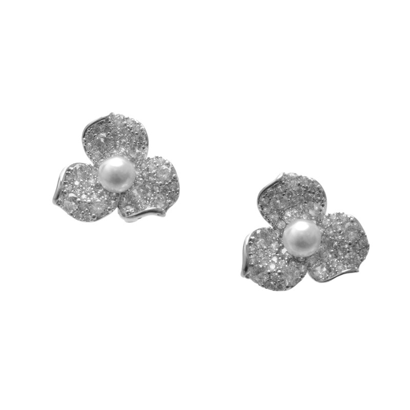 Cercei ALDO argintii, CHARPIN 973, din metal